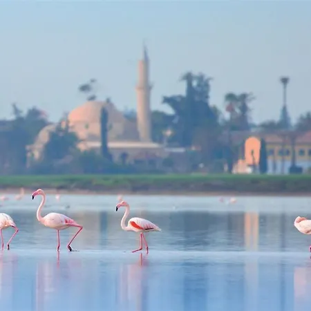 Indigo By Ihg-adults Only Ξενοδοχείο 4*