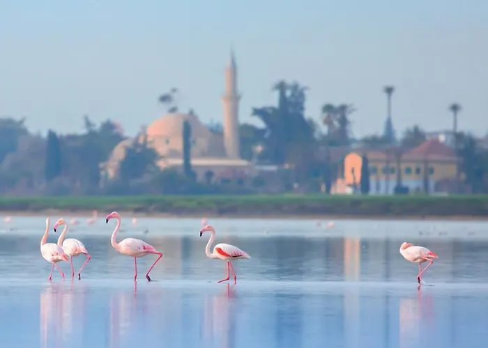 Ξενοδοχείο Indigo By Ihg-adults Only Λάρνακα