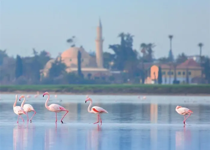 Indigo By Ihg-adults Only Hotel 4*